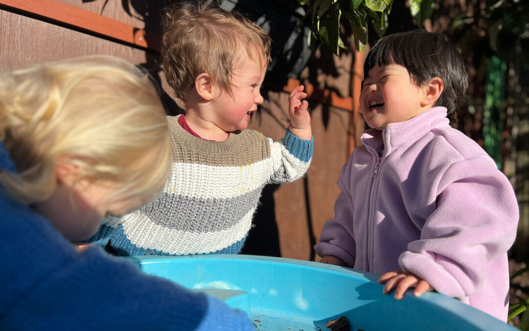 Comfort Toys, Blankets, and Dummy: Helpful or Habit-Forming?